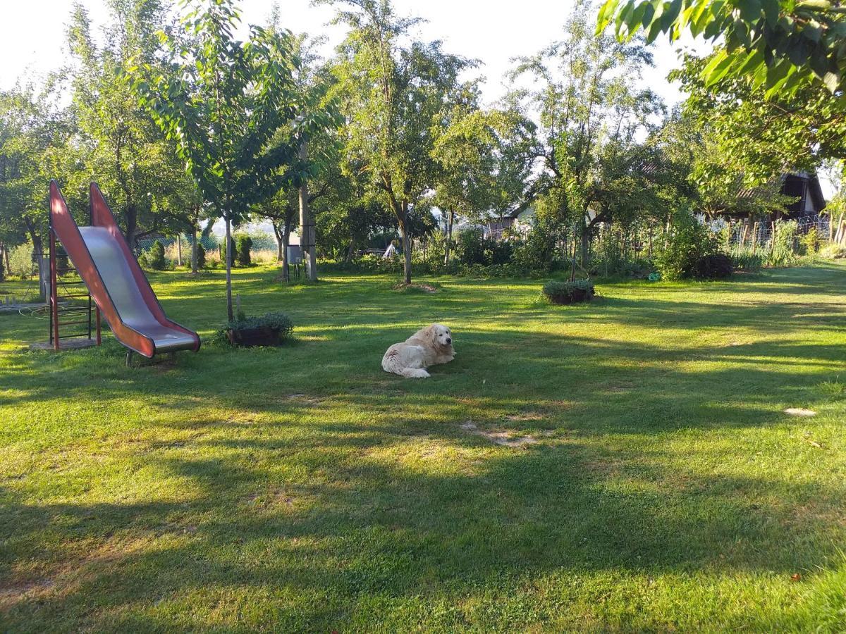 Camping Lukac クティナ エクステリア 写真